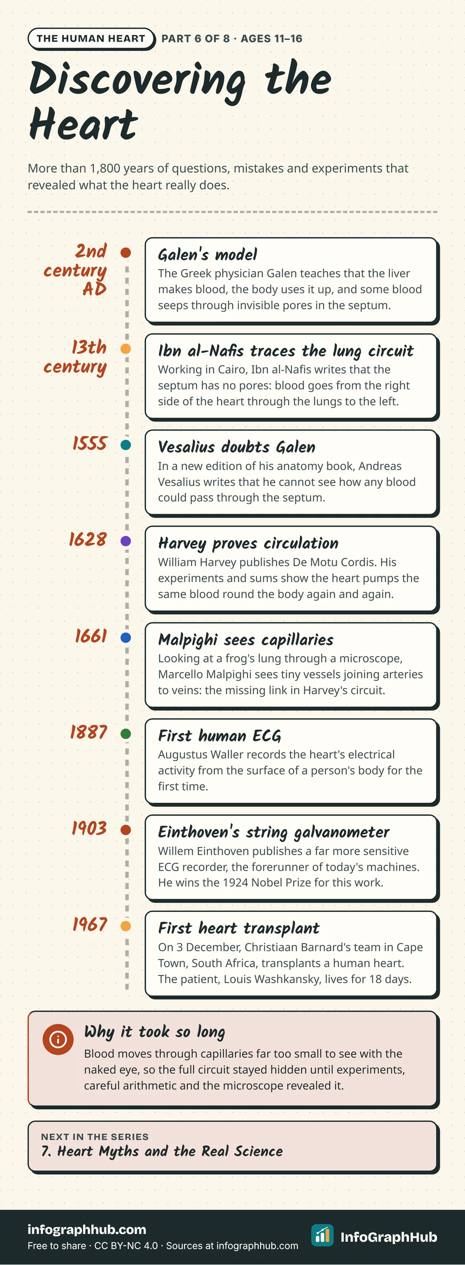 Timeline of discovering the heart: Galen's pores in the septum, Ibn al-Nafis's lung circuit, Vesalius in 1555, Harvey's proof of circulation in 1628, Malpighi's capillaries in 1661, the first ECGs and the 1967 heart transplant.