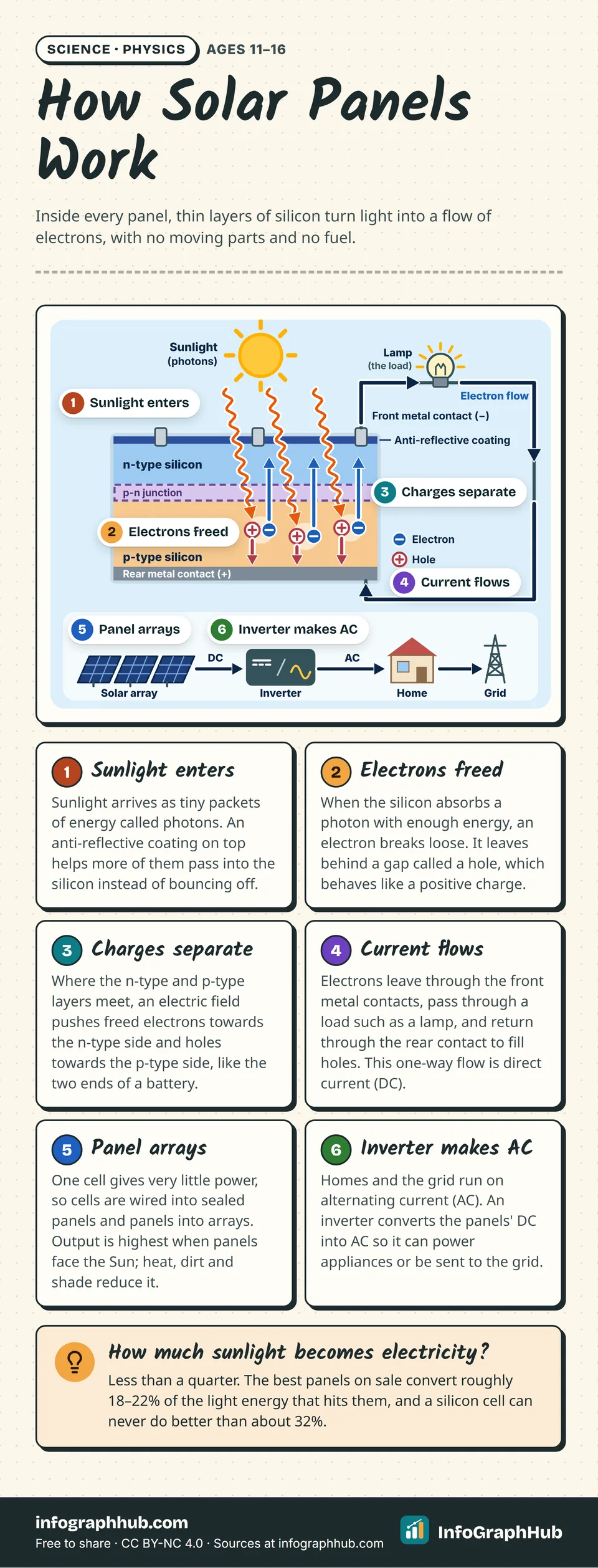 Labelled diagram of how a solar panel works in six steps: sunlight enters a silicon cell, photons free electrons, the p-n junction separates them, DC flows through a lamp, cells form arrays and an inverter makes AC.