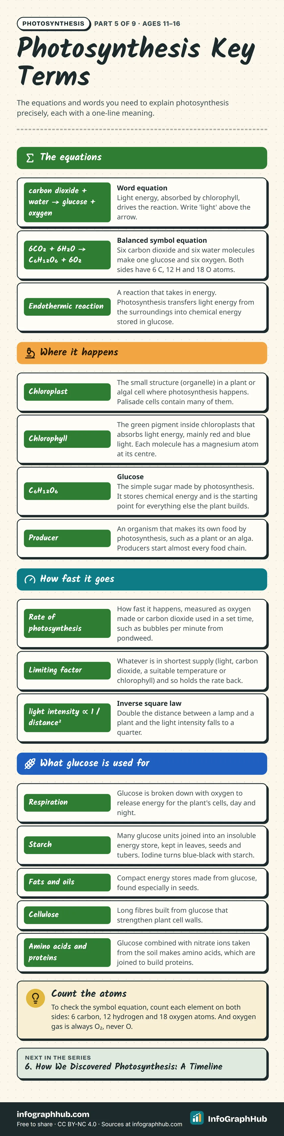 Photosynthesis cheat sheet in four groups: the word and balanced symbol equations, where it happens (chloroplast, chlorophyll, glucose, producer), how fast it goes (rate, limiting factor, inverse square law) and five uses of glucose.