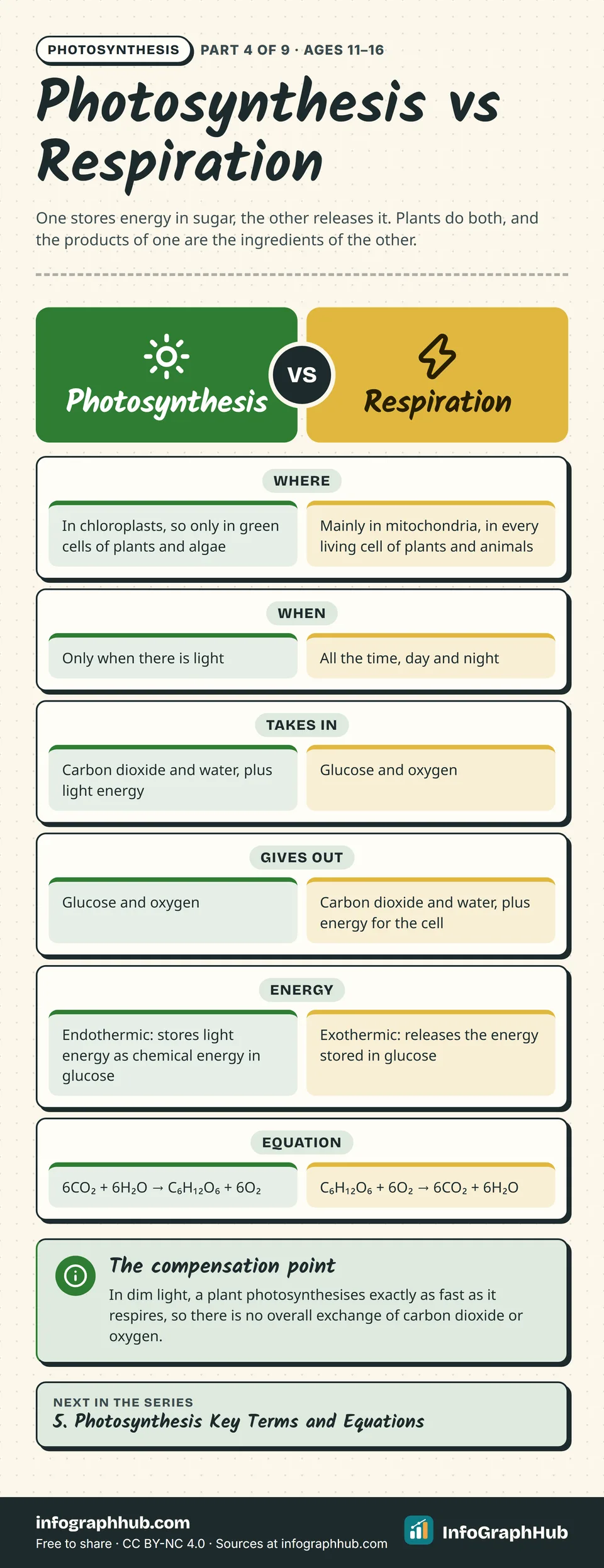 Side-by-side comparison of photosynthesis and respiration: where each happens, when, what goes in and comes out, energy stored or released, and their opposite equations, with a note on the compensation point.