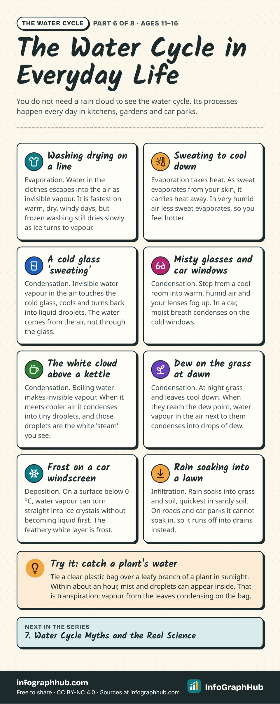 Eight illustrated cards showing the water cycle in daily life: washing drying and sweating (evaporation), a cold glass, misty glasses, a kettle and dew (condensation), frost (deposition) and rain soaking into a lawn (infiltration).
