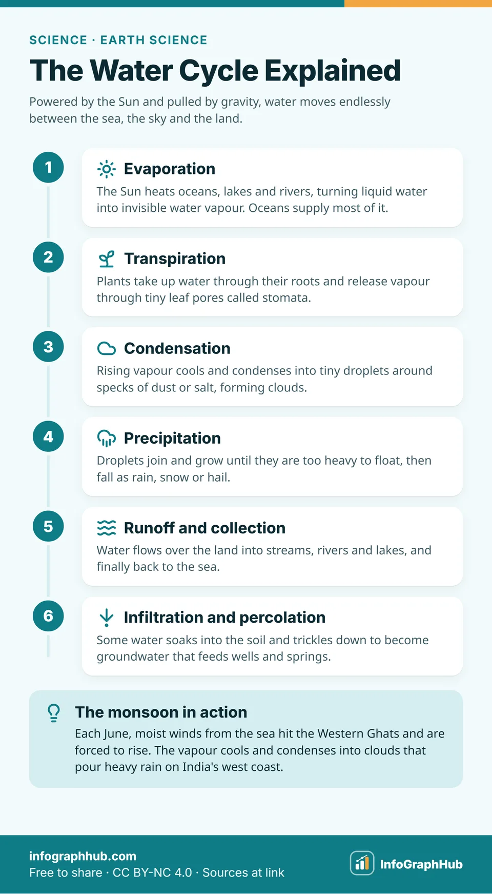 Six-step infographic of the water cycle: the Sun evaporating sea water, plants transpiring, vapour condensing into clouds, rain and snow falling, runoff into rivers, and water soaking down into groundwater.