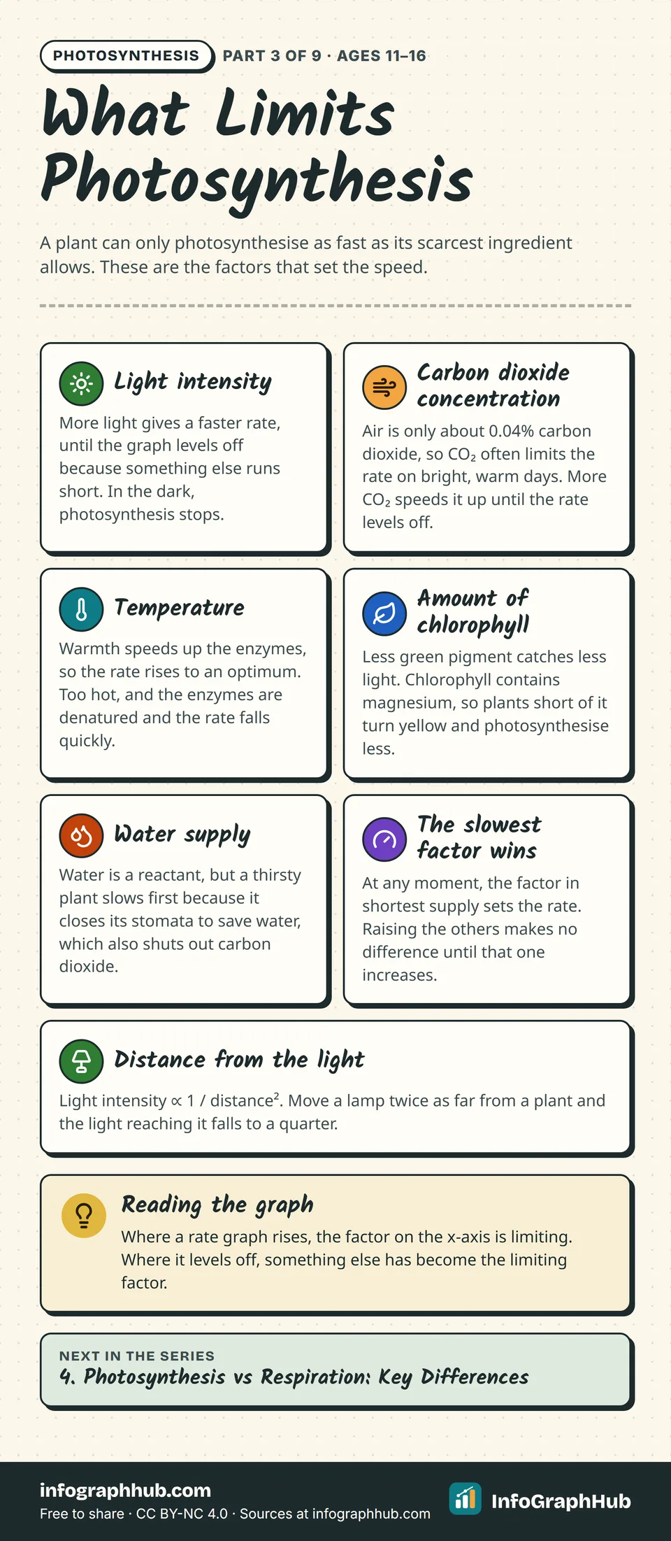 Seven cards on what limits photosynthesis: light intensity, carbon dioxide concentration, temperature, amount of chlorophyll, water supply, the slowest-factor rule and the inverse square law for lamp distance, plus a graph tip.
