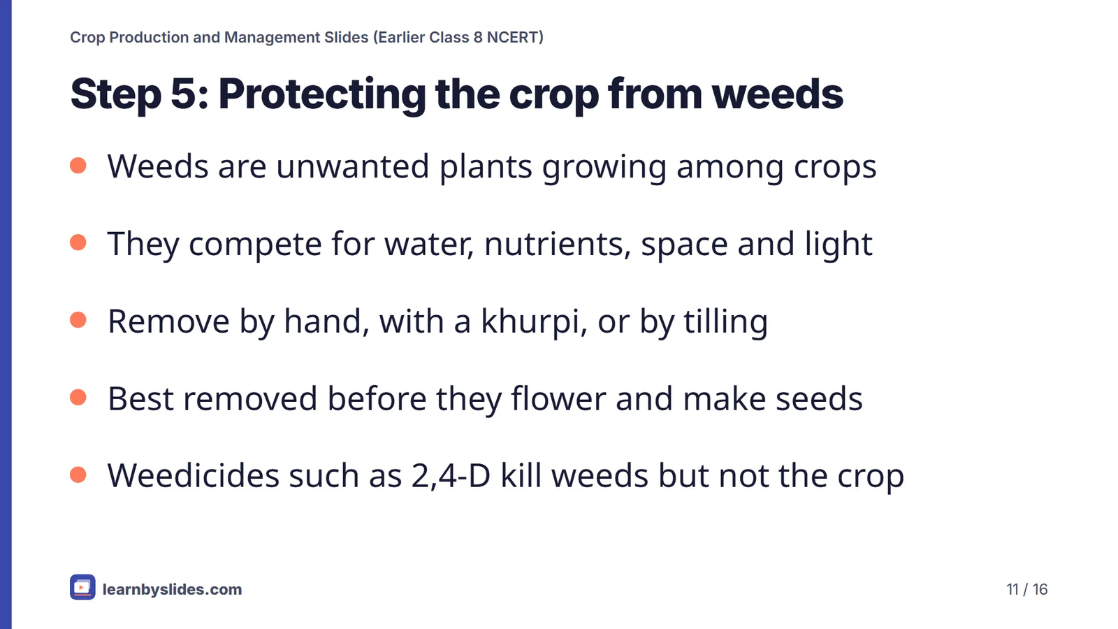Slide 11 of 16: Step 5: Protecting the crop from weeds