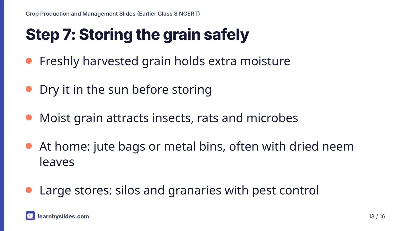 Slide 13 of 16: Step 7: Storing the grain safely
