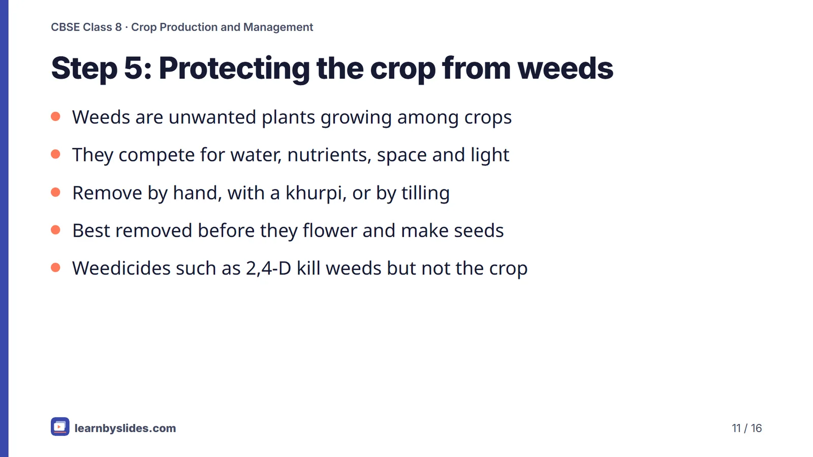 Slide 11 of 16: Step 5: Protecting the crop from weeds