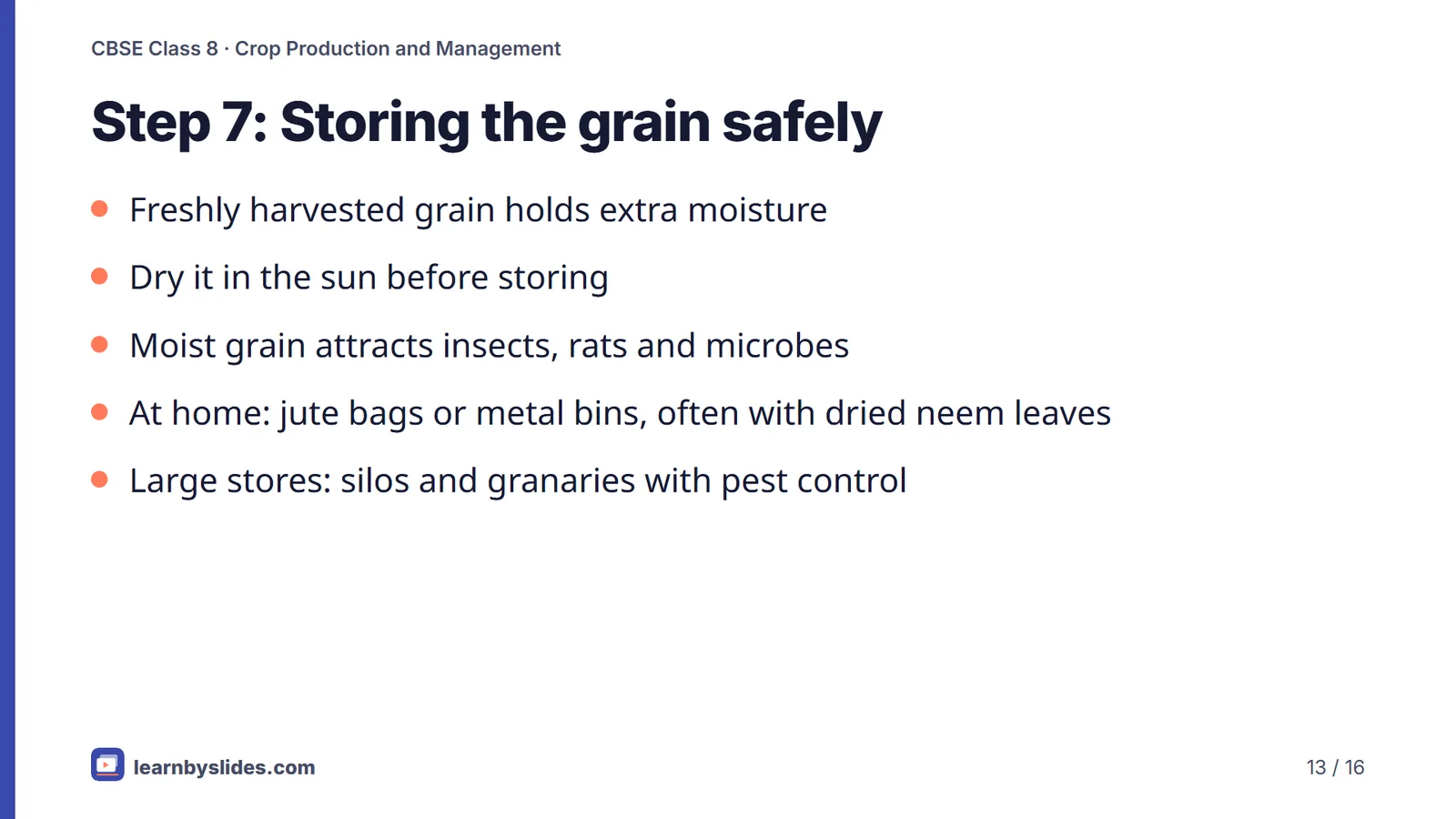 Slide 13 of 16: Step 7: Storing the grain safely