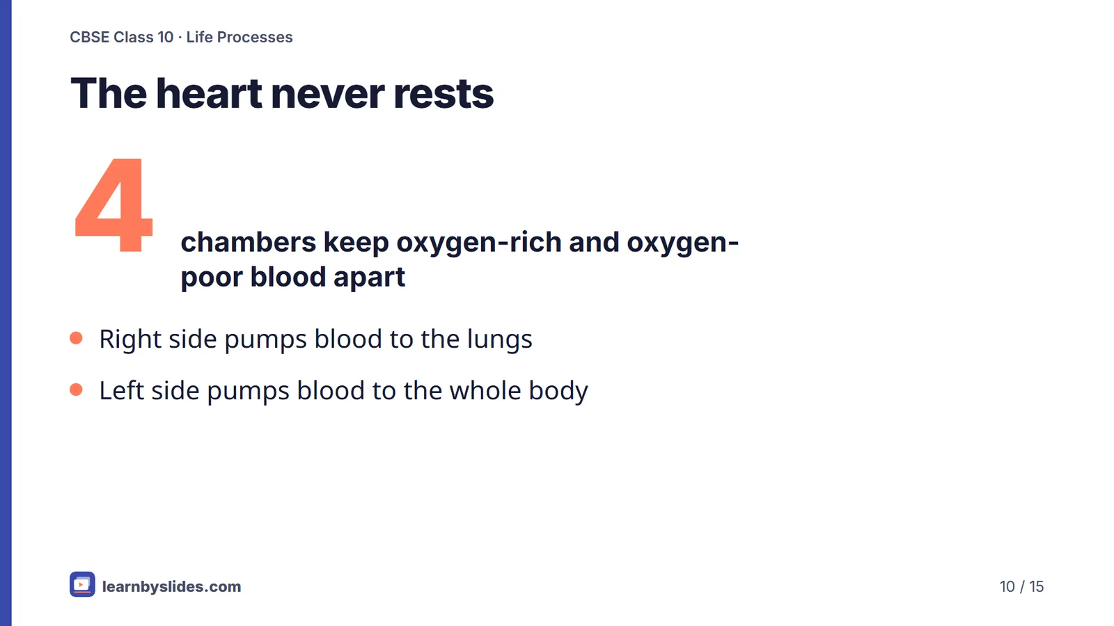 Slide 10 of 15: The heart never rests