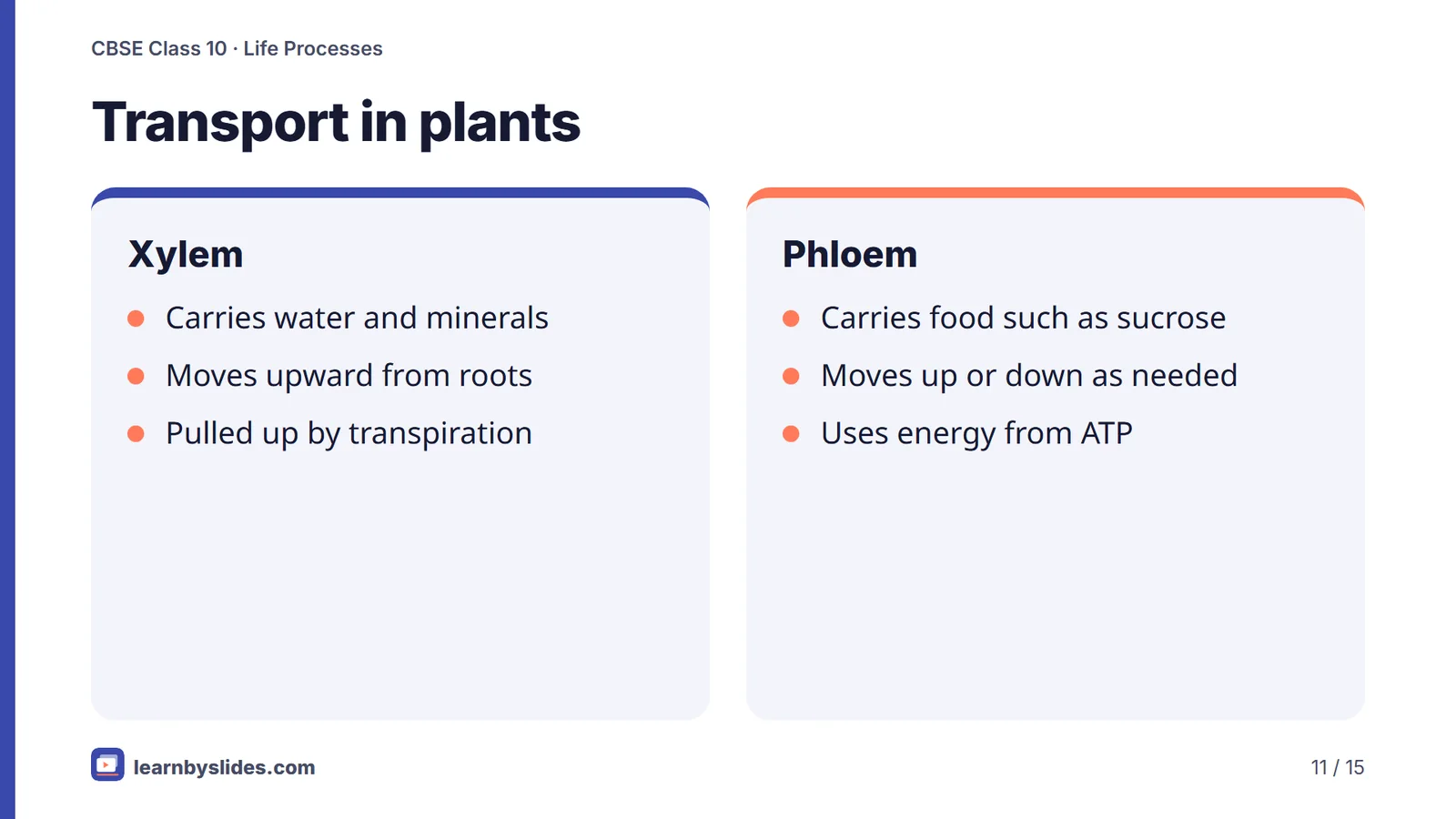 Slide 11 of 15: Transport in plants