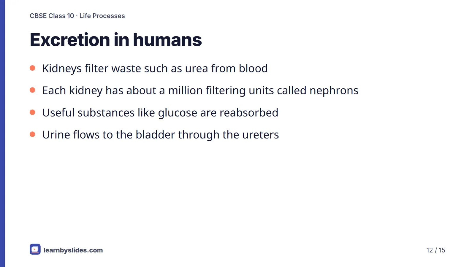 Slide 12 of 15: Excretion in humans