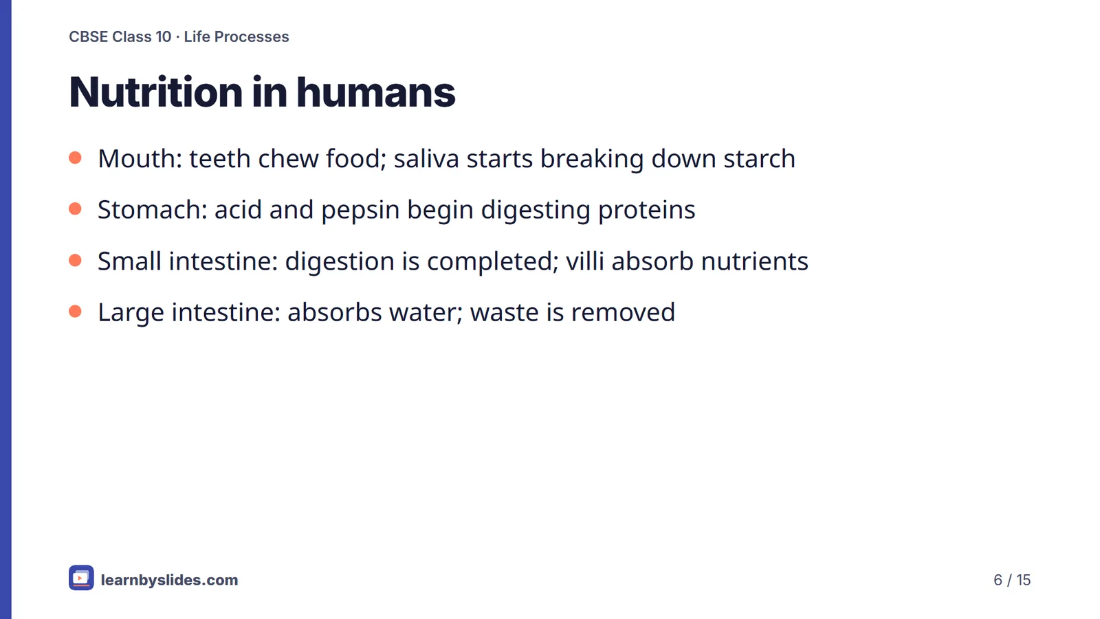 Slide 6 of 15: Nutrition in humans