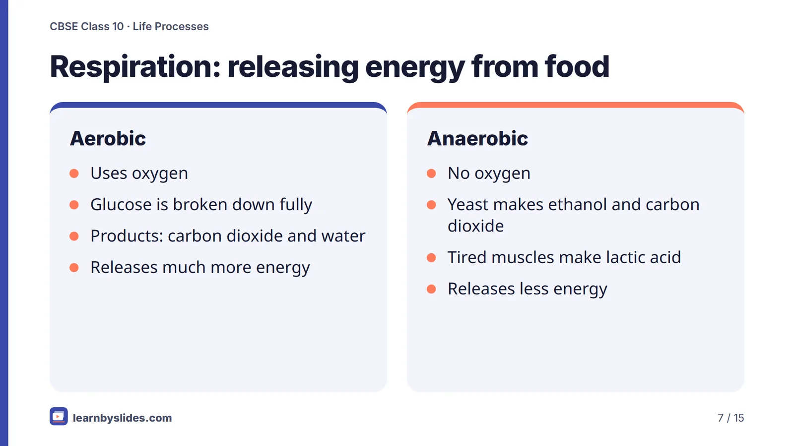 Slide 7 of 15: Respiration: releasing energy from food