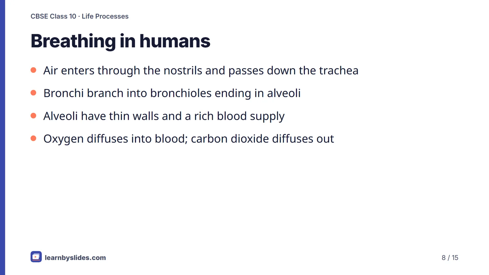 Slide 8 of 15: Breathing in humans