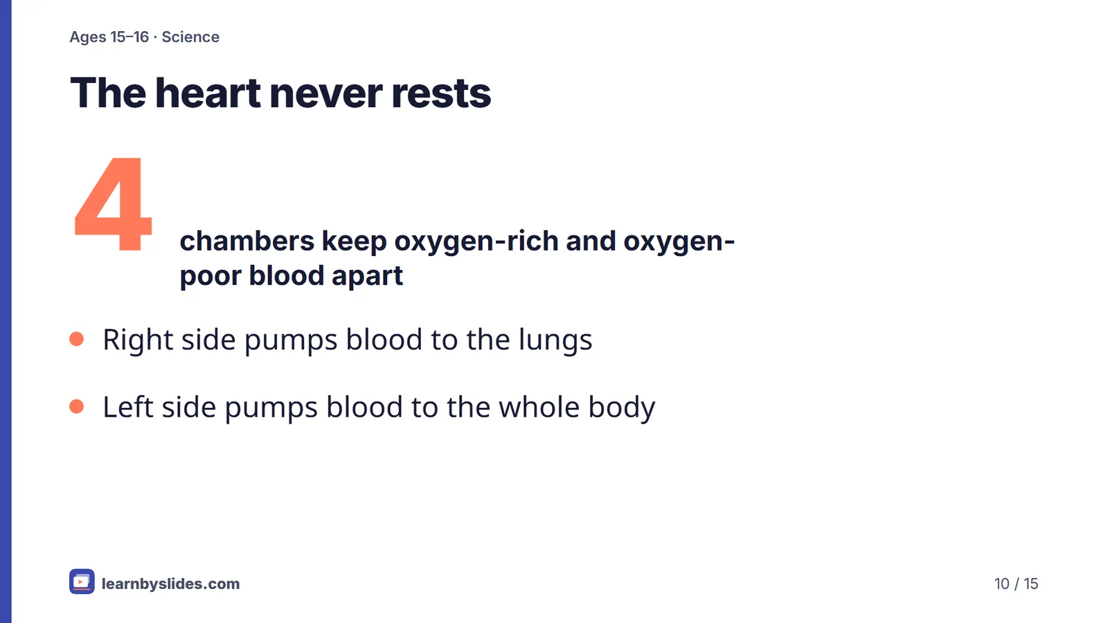 Slide 10 of 15: The heart never rests
