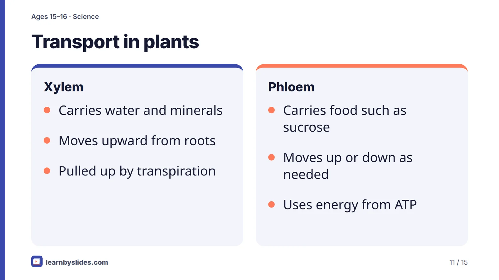 Slide 11 of 15: Transport in plants