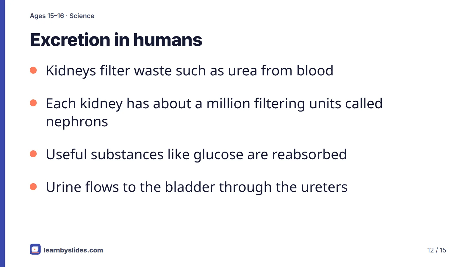 Slide 12 of 15: Excretion in humans