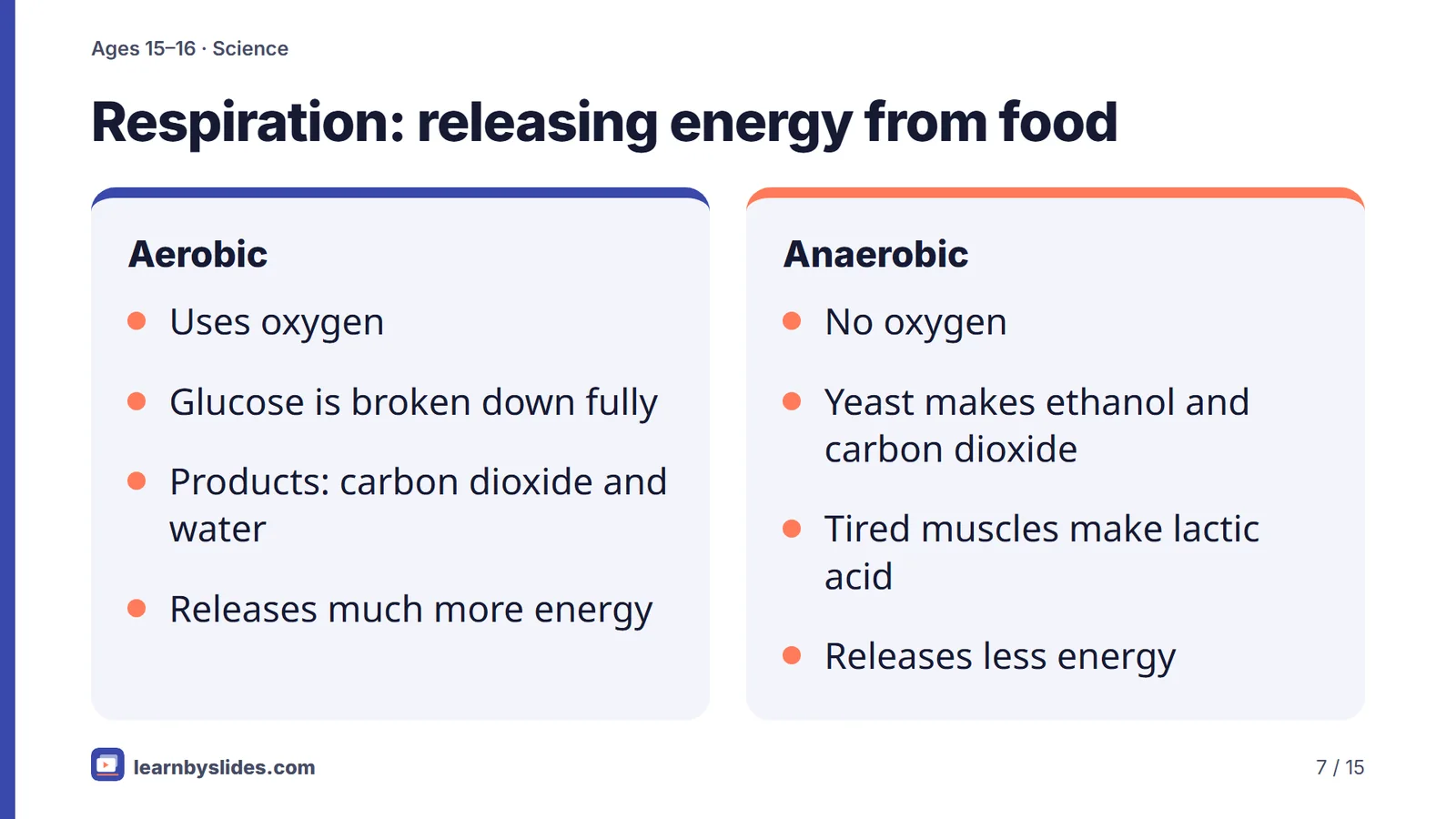Slide 7 of 15: Respiration: releasing energy from food