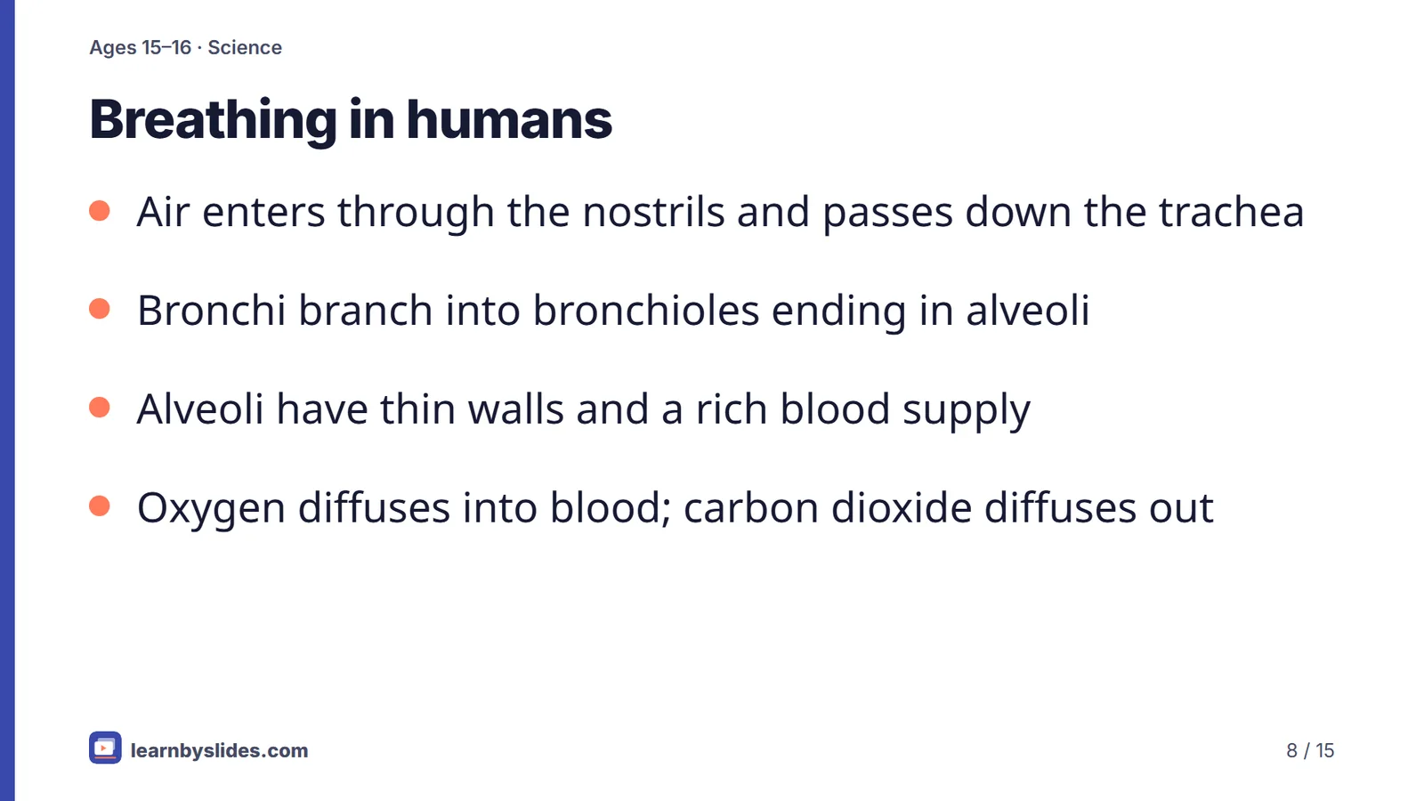 Slide 8 of 15: Breathing in humans
