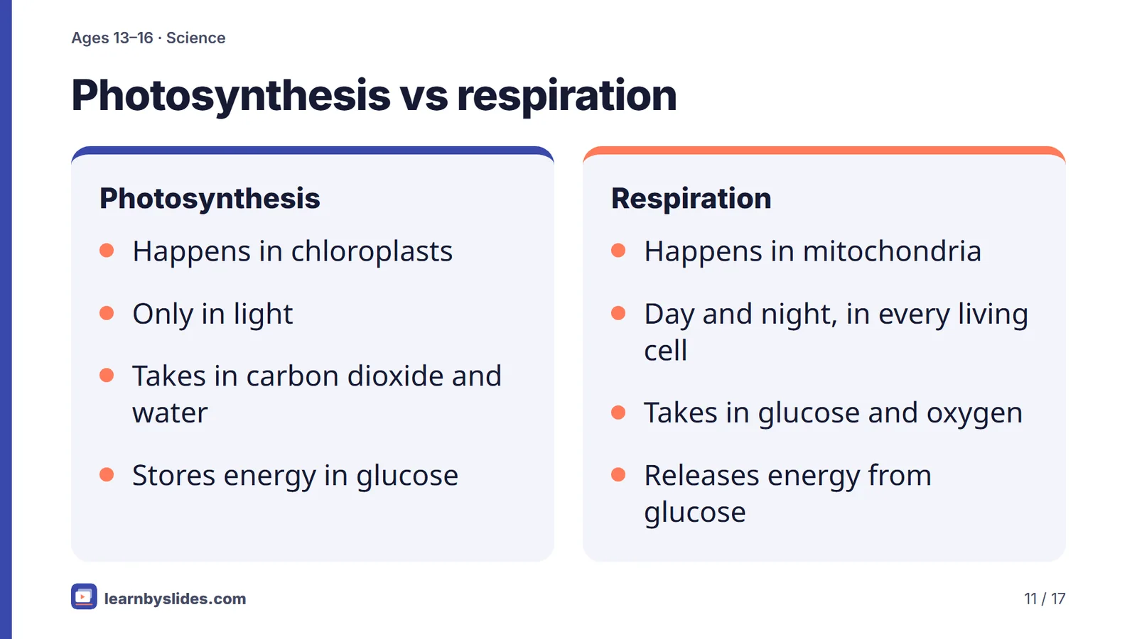Slide 11 of 17: Photosynthesis vs respiration