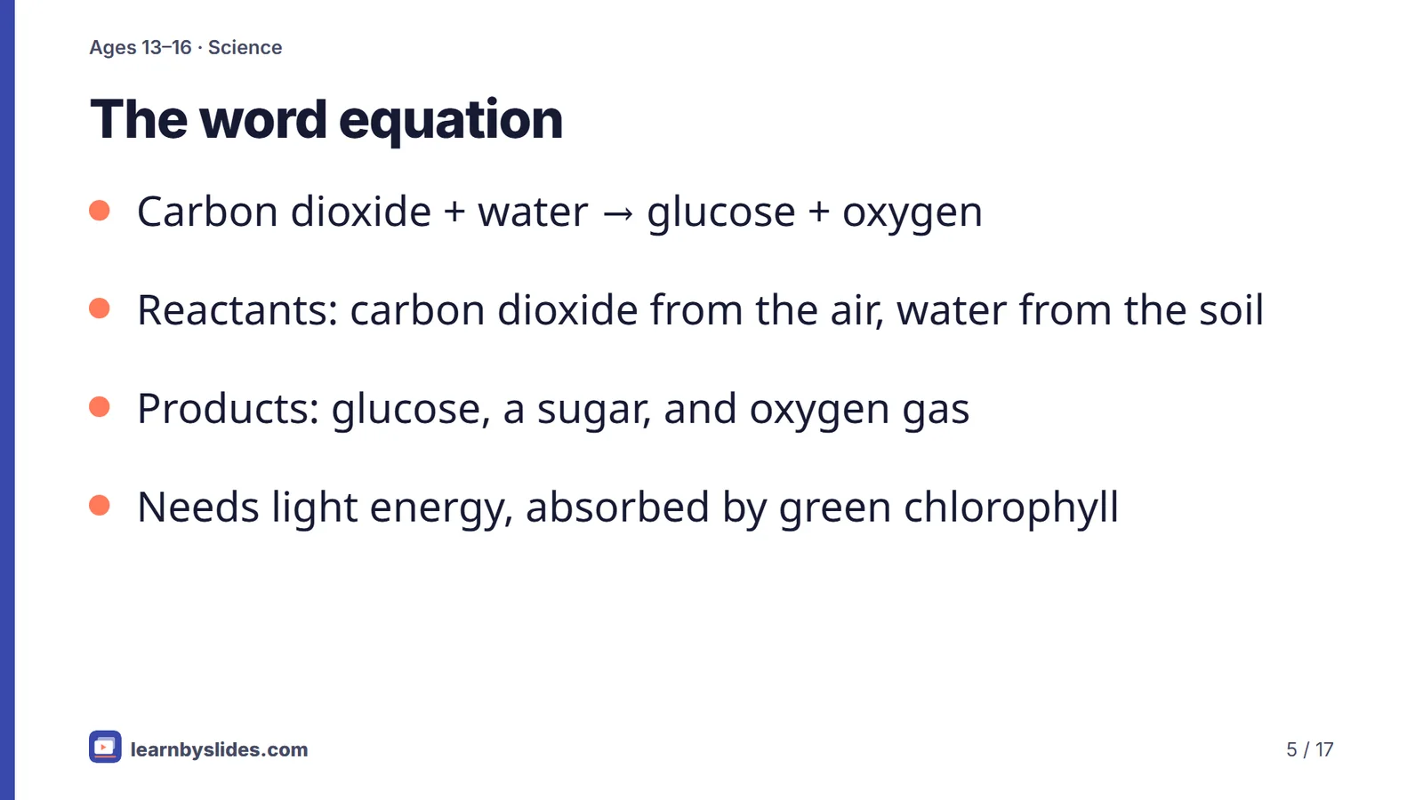 Slide 5 of 17: The word equation