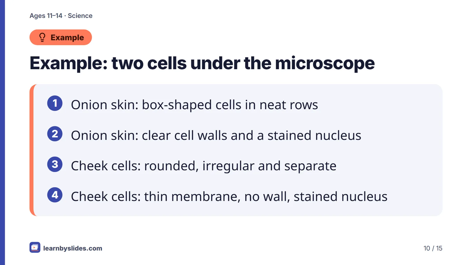 Slide 10 of 15: Example: two cells under the microscope