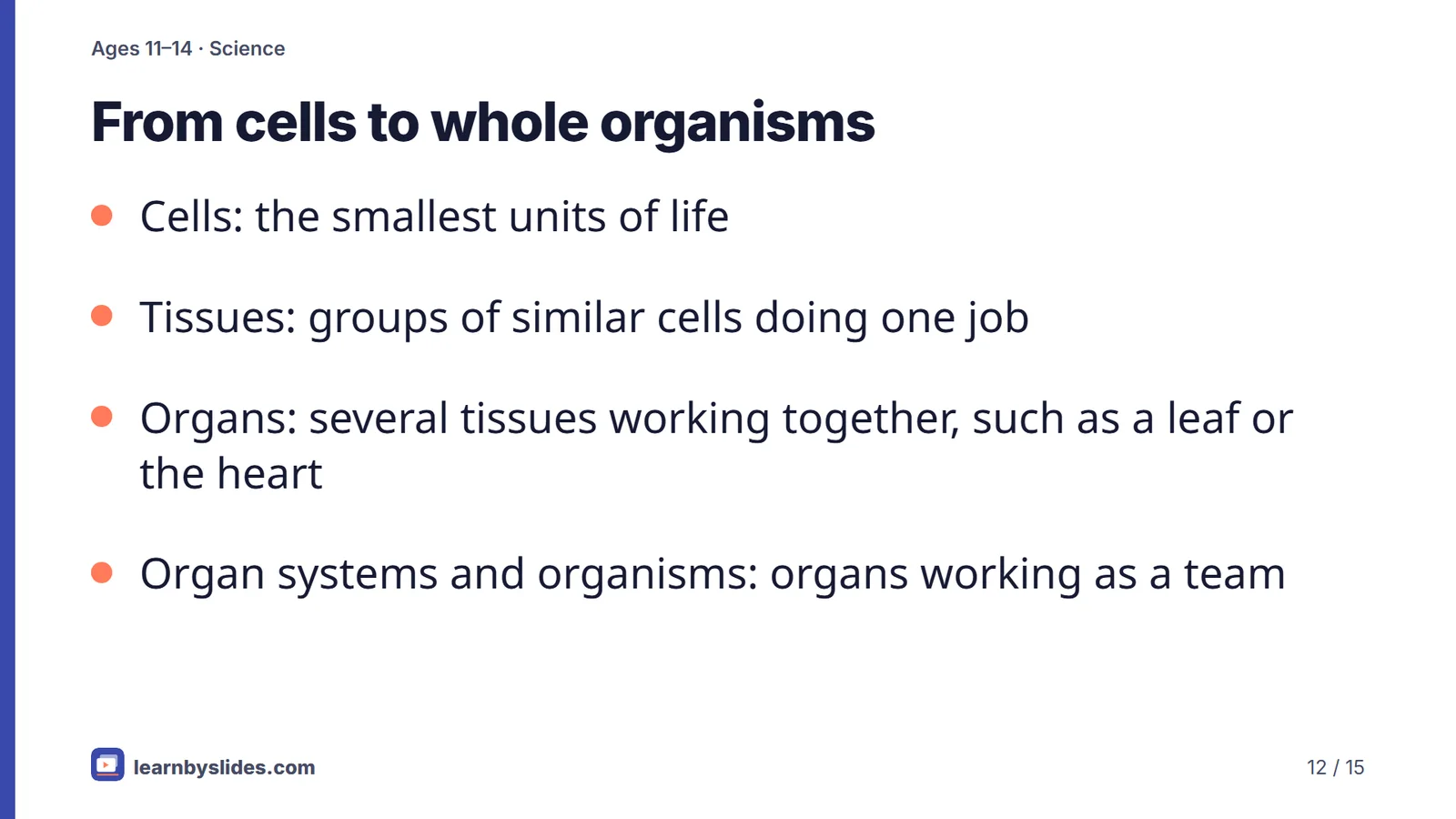 Slide 12 of 15: From cells to whole organisms