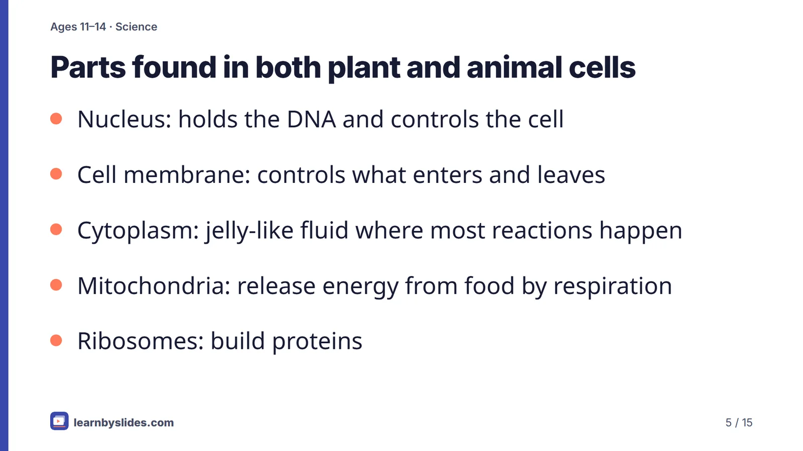 Slide 5 of 15: Parts found in both plant and animal cells