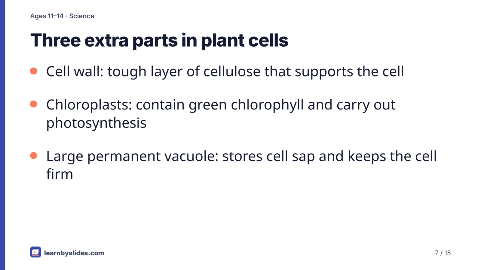 Slide 7 of 15: Three extra parts in plant cells
